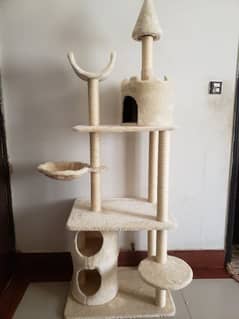 furry cat house (cattery)