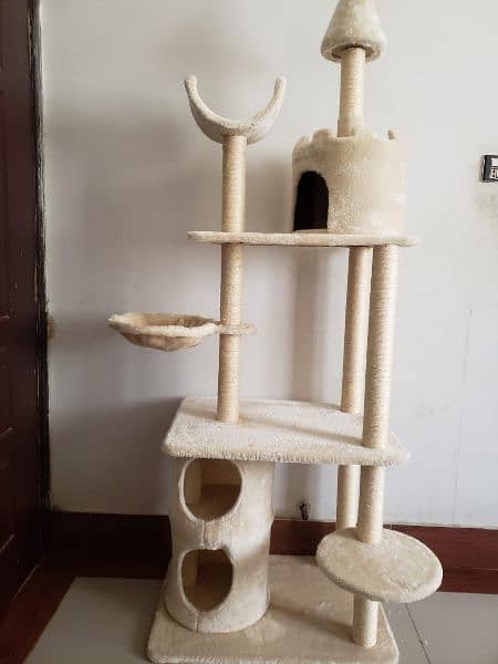 furry cat house (cattery) 1