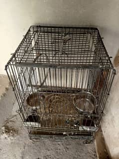 A1 Condition Cage Best For Raw And African Grey