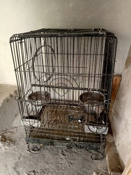 A1 Condition Cage Best For Raw And African Grey 3