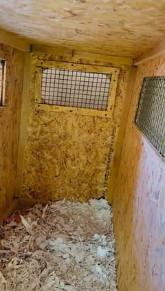 dog house for sale