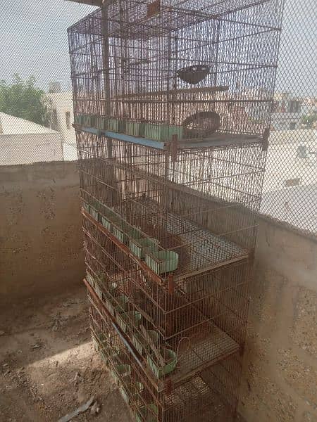 Bird Cages For sale 1