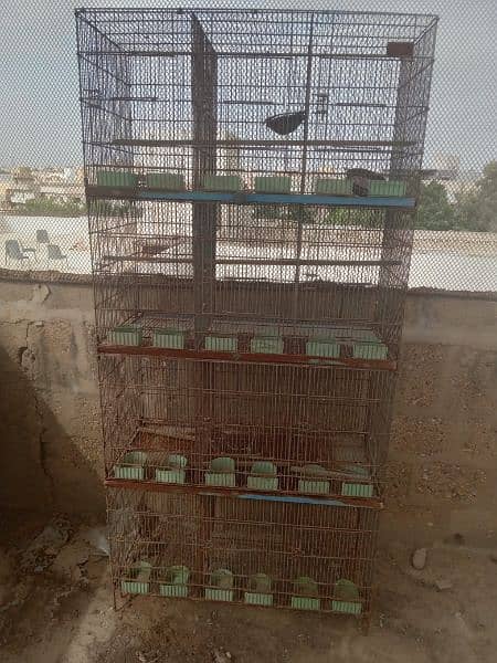 Bird Cages For sale 2