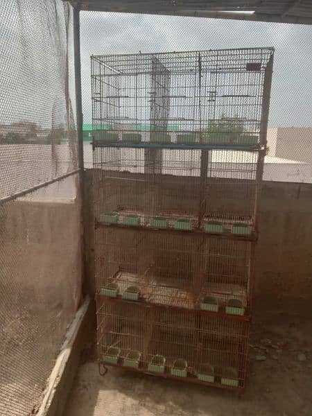 Bird Cages For sale 3