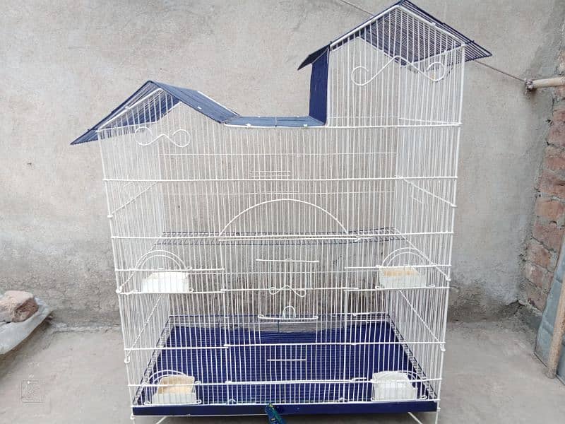 Iron Cage For Love Birds 1