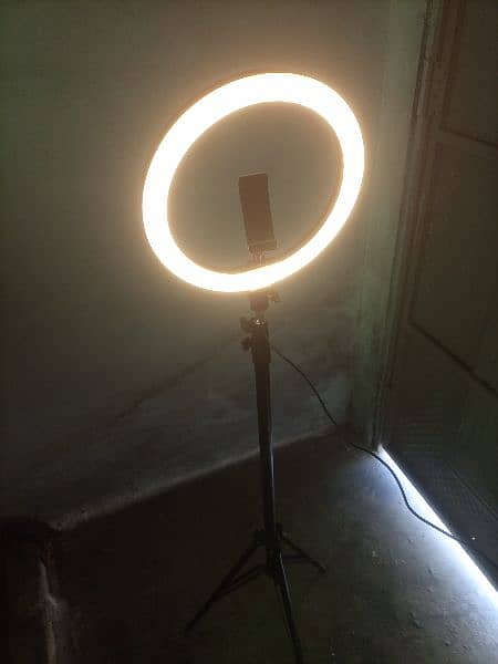 Ring light Stand & Tik tok Mic for sale 4