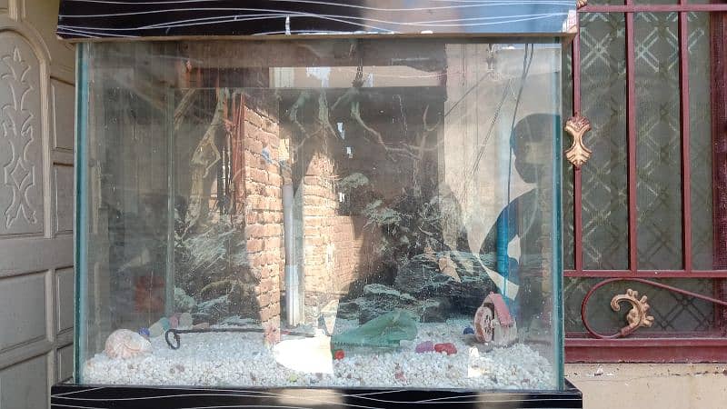 Fish Aquarium with assessories 10