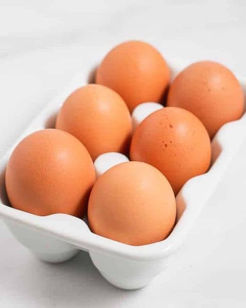 100% fertile Bengum, Australorp, Lohman Brown eggs for Sale (COD) 11