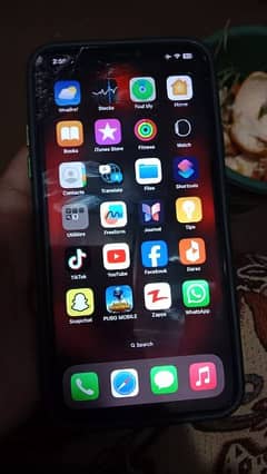 Iphone 11 Pro Max Panel