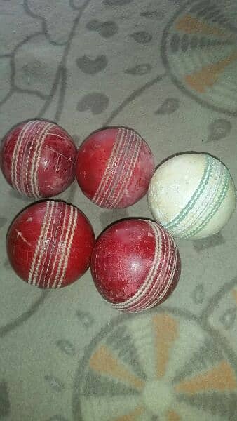Cricket Hard Ball 1