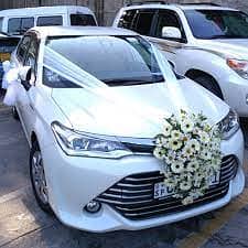 Rent A Car ,Car Rental + Wedding & Event Service 13