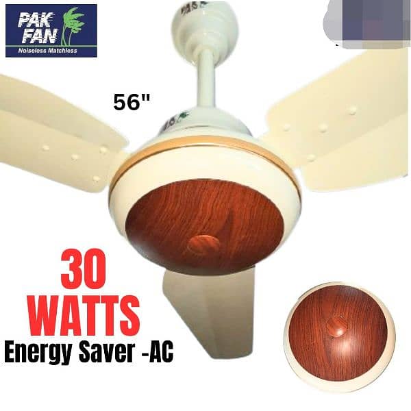 Pak Fan Ac Inverter 30 watts cristal model 0