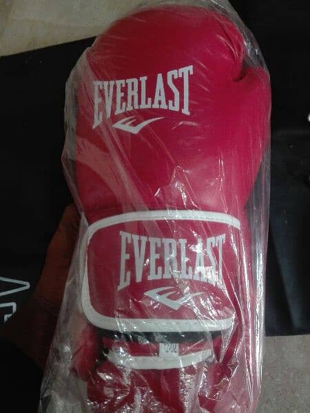 Everlast 6 feet Punching Bag with Chain and Gloves 1