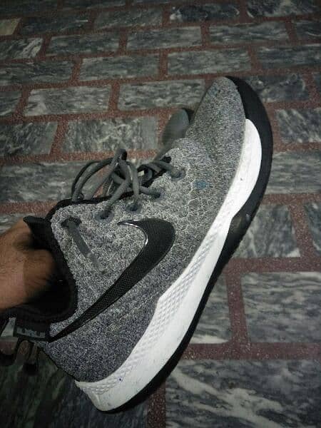 Nike Lebron James . Pakistani shoes size 11 number. 45 2