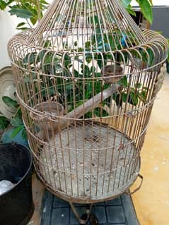 cage for big parrots