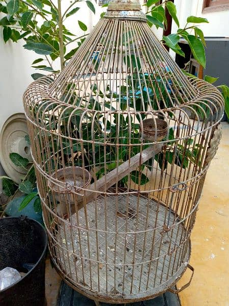 cage for big parrots 1