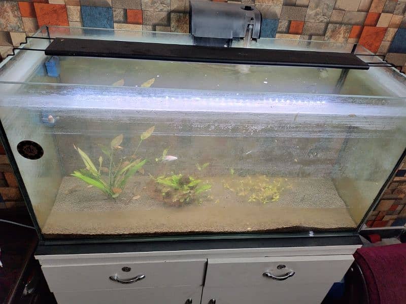 Aquarium + auto light + filter & its table drawer 1