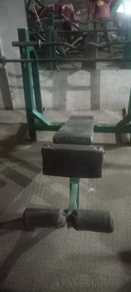 chast press hack squat decline bench praellal dip stand for sale 3