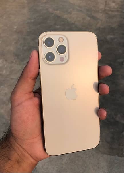 iphone 12 Pro Max PTA Approved 1