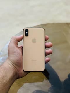 iPhone XS