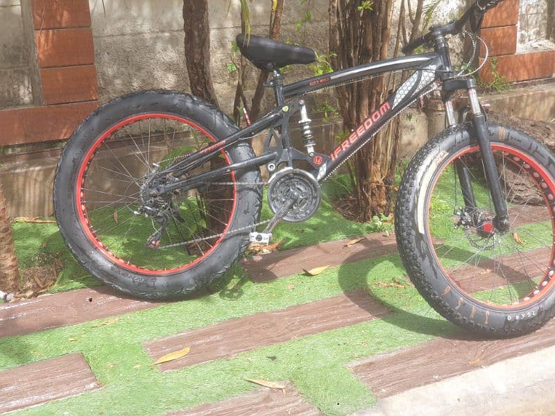 IFREEDOM bicycle size 26.4 Fat tyres Japanese cycle 1