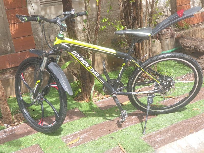 Dolphin river (sports world) bicycle size 26 1