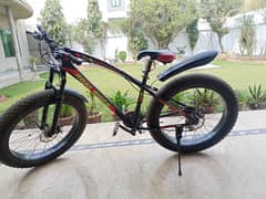 roal rider fat bike in excellent condition like new only 4 months used 0