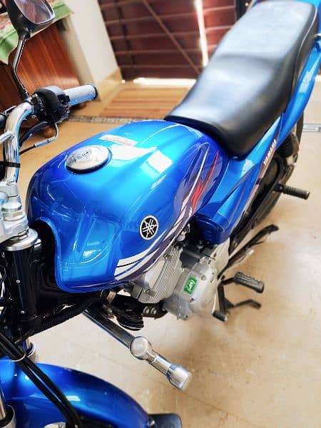 Yamaha YBZ 125cc Modal 2022 (03457429856) 2