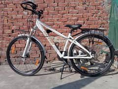 Raleigh bicycle 0304-4497182