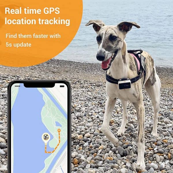 PAWFIT 2 Smarter Tracker for Dogs and Activity Monitor Petcare 1
