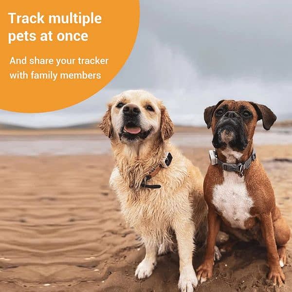 PAWFIT 2 Smarter Tracker for Dogs and Activity Monitor Petcare 4