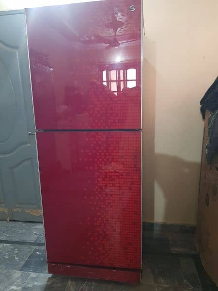 pel glass door refrigerator good condition urgent sell 2