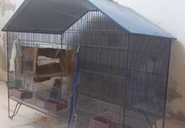 Big bird cage/ Loha cage/ Pinjra/ Iron cage
