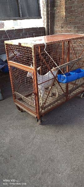 animal iron cage heavy weight 2