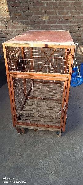 animal iron cage heavy weight 5