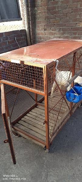 animal iron cage heavy weight 6