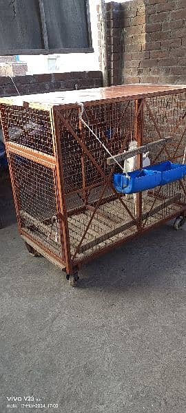 animal iron cage heavy weight 7