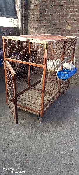 animal iron cage heavy weight 8