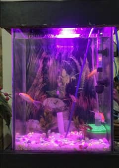 Fish Aquarium For sale with accessories in perfect condition