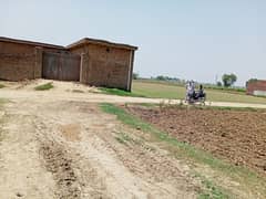 Agriculture Land Is Available For Farmhouse Near Sialkot Village