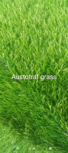 artificial grass twenty mm 0
