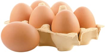 WHITE BUFF EGGS FOR SALE