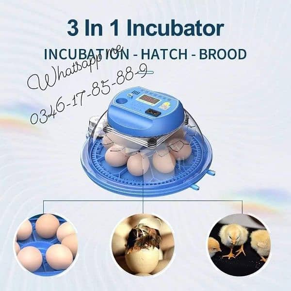 Incubator & Brooder incubator اِنکیوبیٹر & برُوڈر 9