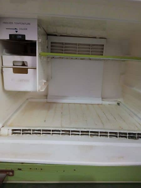 freezer 6