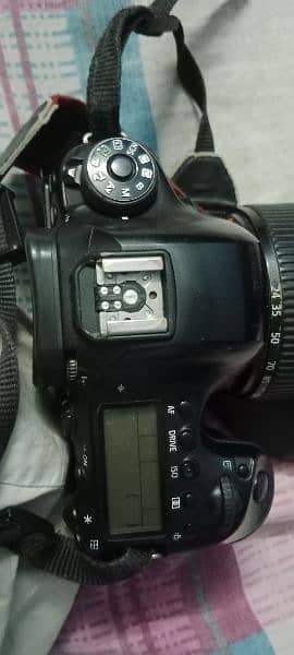 Canon 6d mark ii with 24x105 lens is ii 4