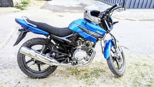 Yamaha ybr 125 2019 Urgent sale