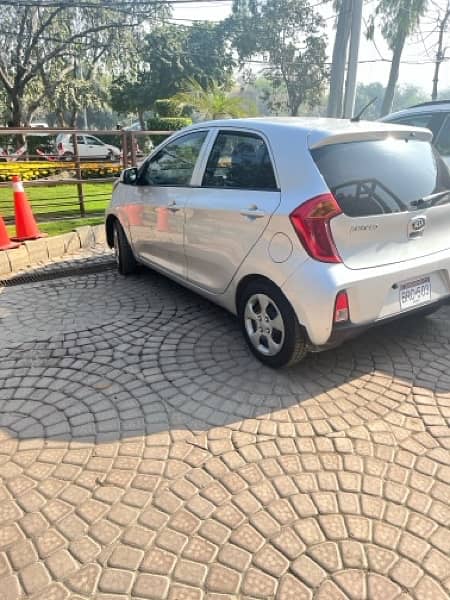 PICANTO AT SILVER 5