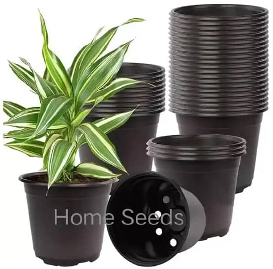 Kitchen Gardening Seeds Family Pack ( 18 Seeds pack ) with 10 Pots. 2