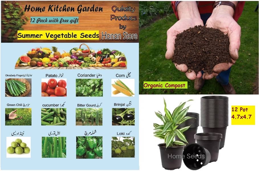 Kitchen Gardening Seeds Family Pack ( 18 Seeds pack ) with 10 Pots. 0