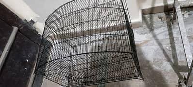 cage for birds cats puppies hens